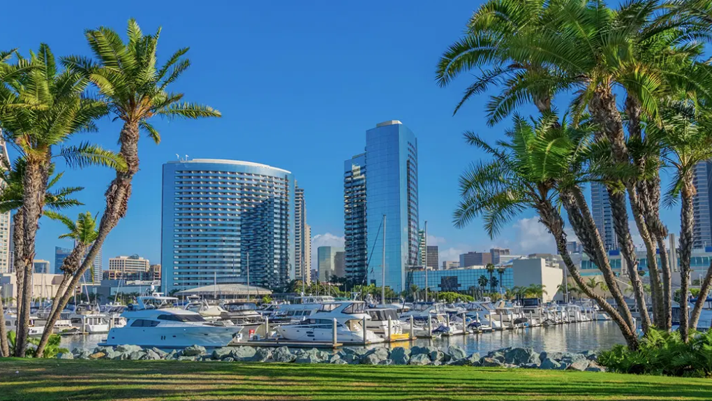 Luxury car service Los Angeles to San Diego with professional chauffeur